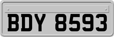 BDY8593