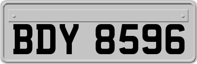 BDY8596