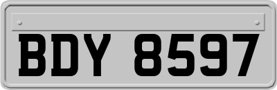 BDY8597