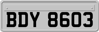 BDY8603