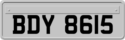BDY8615