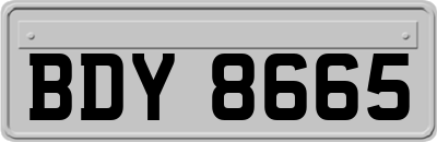 BDY8665