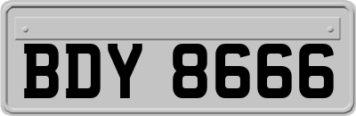 BDY8666