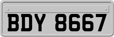 BDY8667