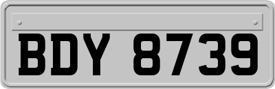 BDY8739