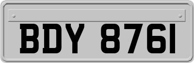 BDY8761