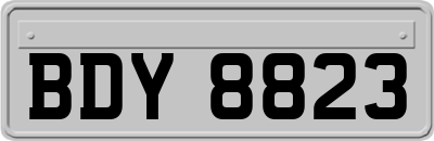 BDY8823