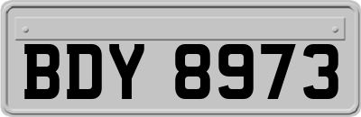 BDY8973