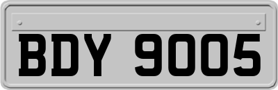 BDY9005