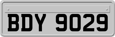 BDY9029