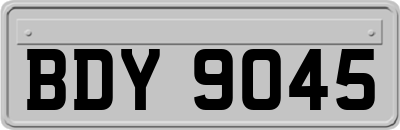 BDY9045