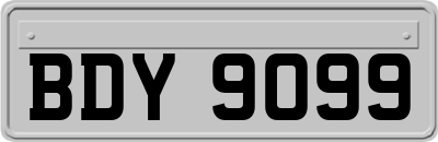 BDY9099