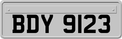 BDY9123
