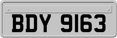 BDY9163