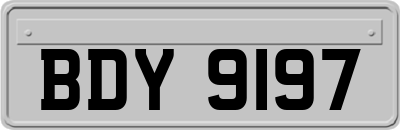 BDY9197