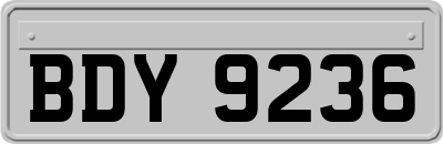BDY9236