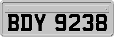 BDY9238