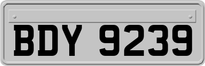 BDY9239