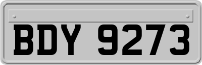 BDY9273