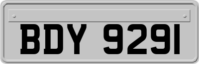 BDY9291