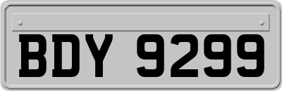 BDY9299