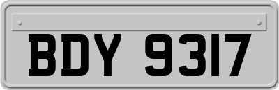 BDY9317