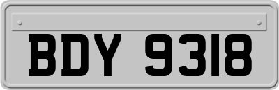 BDY9318