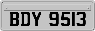 BDY9513