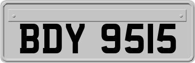 BDY9515
