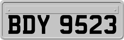 BDY9523