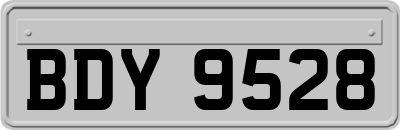 BDY9528