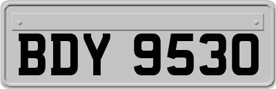 BDY9530
