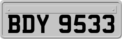 BDY9533