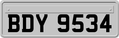 BDY9534