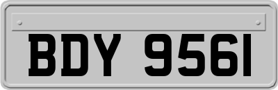BDY9561