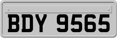 BDY9565