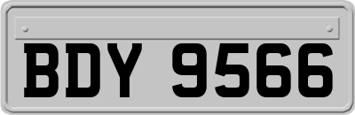 BDY9566