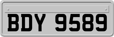 BDY9589
