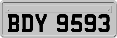 BDY9593