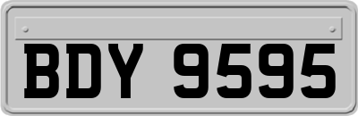 BDY9595