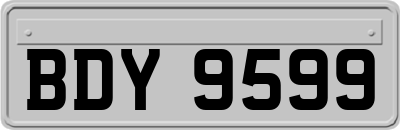 BDY9599