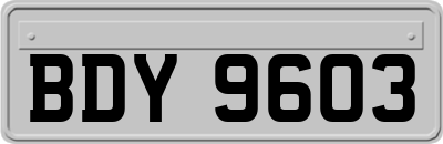 BDY9603