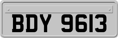 BDY9613