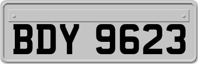BDY9623