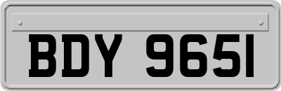 BDY9651