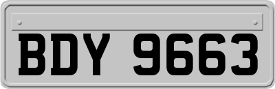 BDY9663