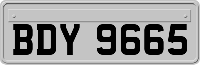 BDY9665