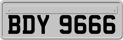 BDY9666