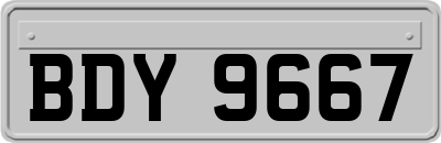 BDY9667