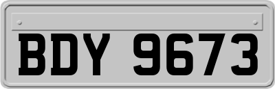 BDY9673